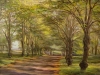 Toila allee